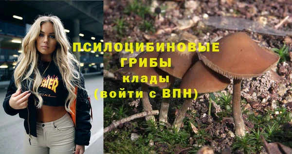 тгк Няндома