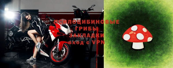 молекула духа Абинск